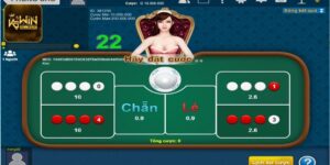 Cách Chơi Xóc Đĩa Giỏi - Phương Pháp Giành Thắng Lớn