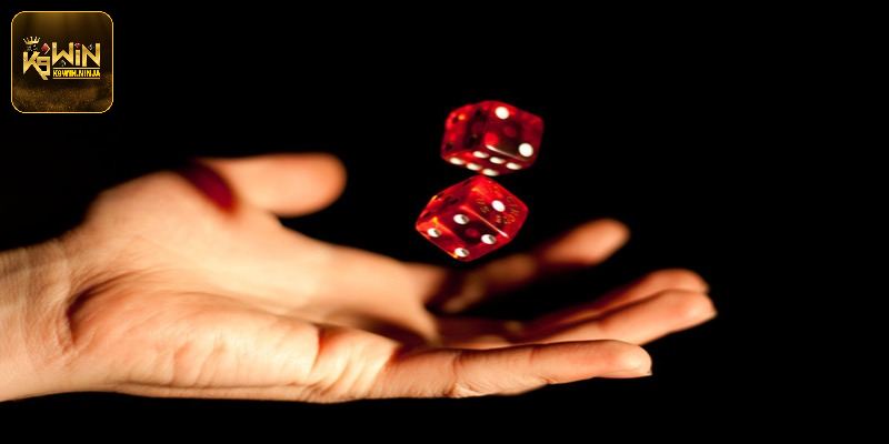 Chia sẻ kinh nghiệm quan trọng cho người mới chơi tài xỉu 