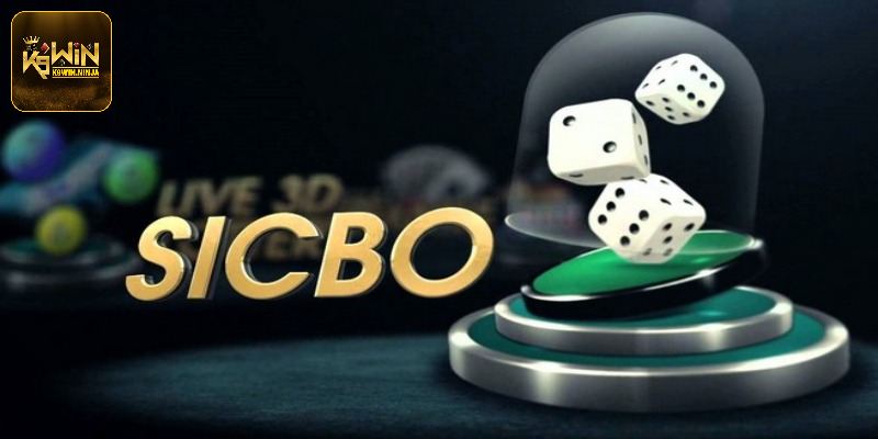 Những ưu điểm nổi trội tạo nên sự cuốn hút cho bộ môn 